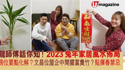 富貴竹風水2023|2023兔年風水佈局｜新年6大簡易家居/辦公室風水